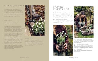 How Does Your Garden Grow?: The elements of planning, growing & caring for a garden