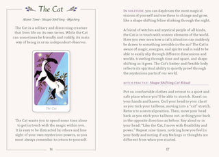 The Little Witch's Oracle Cards