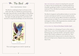 The Little Witch's Oracle Cards