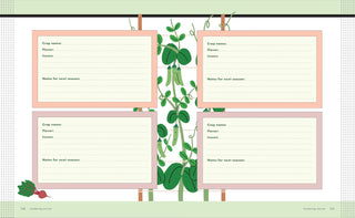 Container Gardening for Beginners