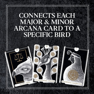 The Avian Tarot