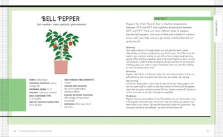 Container Gardening for Beginners