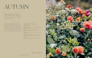 How Does Your Garden Grow?: The elements of planning, growing & caring for a garden