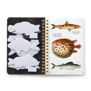 Sticker Books