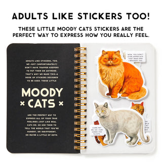 Sticker Books