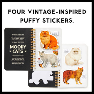 Sticker Books
