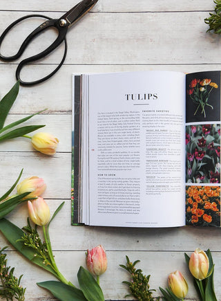 Floret Farm's Cut Flower Garden