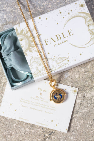 Pisces Zodiac Spinner Necklace