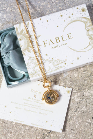 Scorpio Zodiac Spinner Necklace