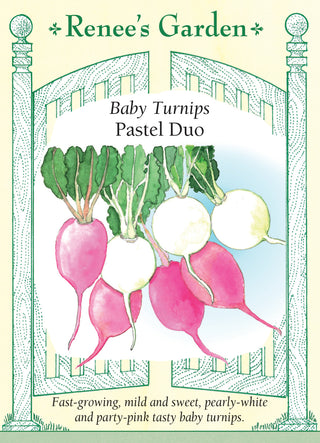 Baby Turnips - Pastel Duo