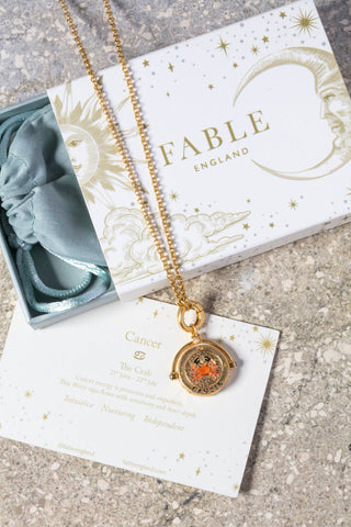 Cancer Zodiac Spinner Necklace
