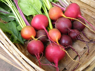 Jewel-Toned Beets - Red, Gold & Candystripe