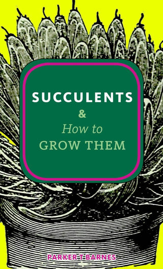 Succulents & How to Grow Them