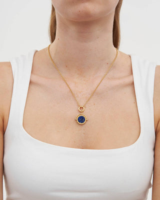 Pisces Zodiac Spinner Necklace
