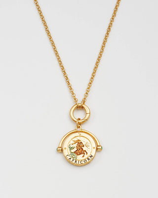 Capricorn Zodiac Spinner Necklace