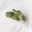 Olive Pearl