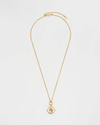 Aquarius Zodiac Spinner Necklace