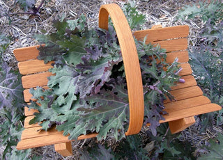 Heirloom Russian Kale - Wild Garden Frills Organic