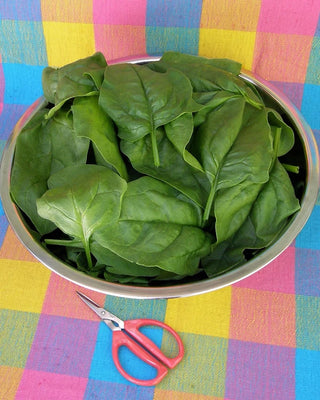 Longstanding Spinach - Gangbusters Organic