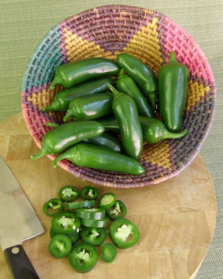 Container Chile Peppers - Early Flame Jalapeños