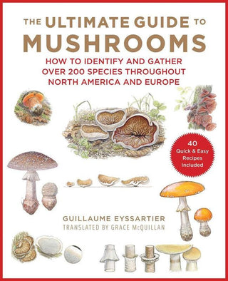 Ultimate Guide to Mushrooms: How to Identify and Gather